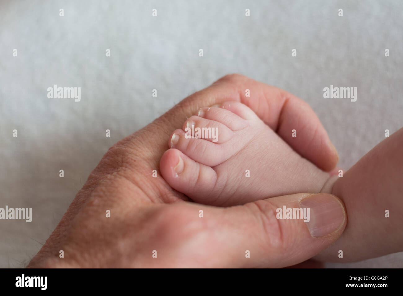 Un adulte hand holding baby foot - close-up Banque D'Images