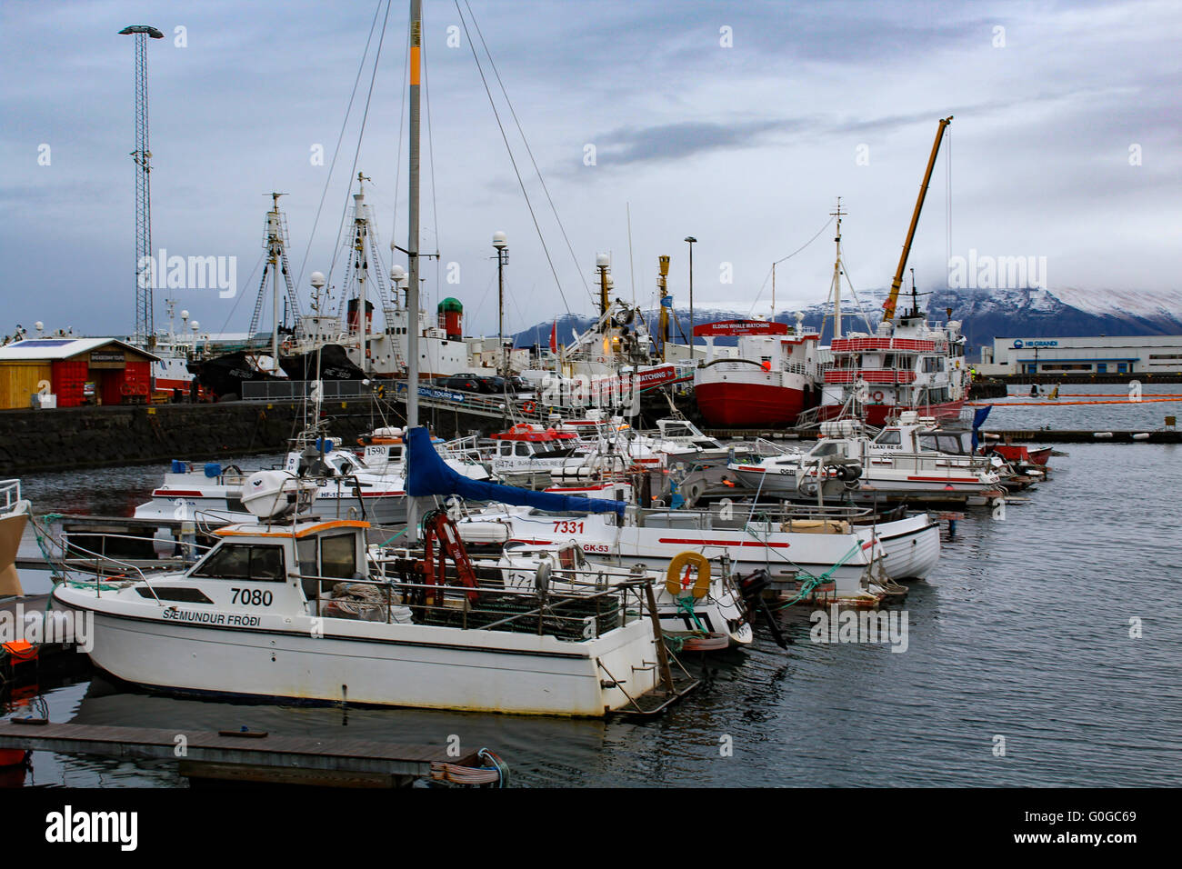 Bateaux de pêche au port de port de Reykjavik, Islande Banque D'Images