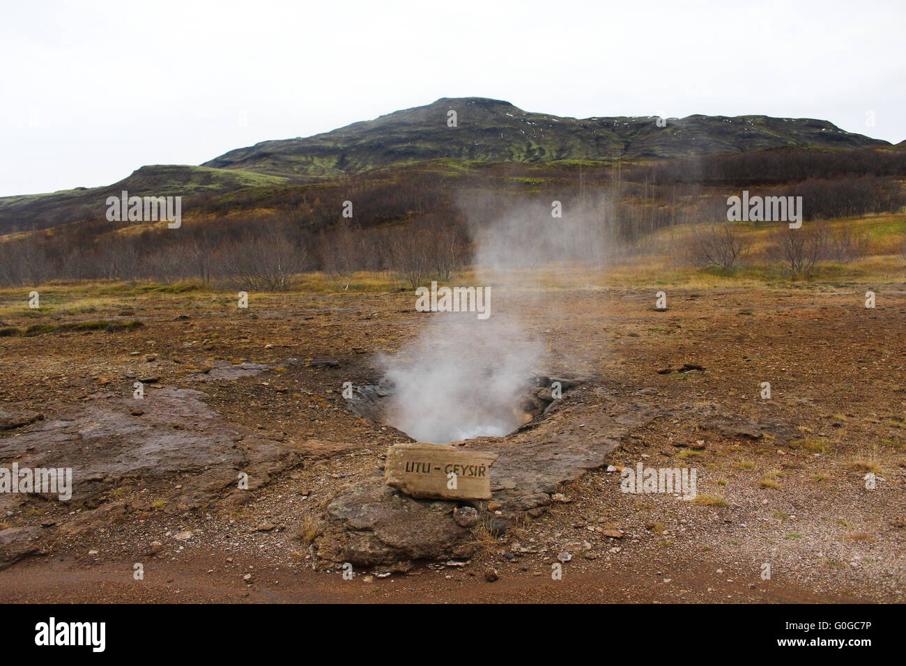 La vapeur s'élève de Litu dans l'activité géothermique de Geysir en zone sud-ouest de l'Islande, la rivière Hvítá. Banque D'Images