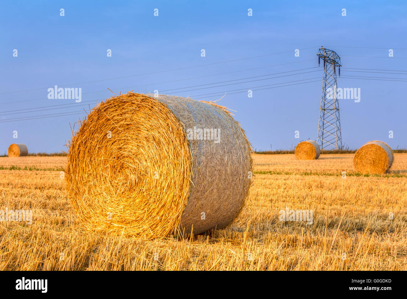 La récolte haye bales Banque D'Images