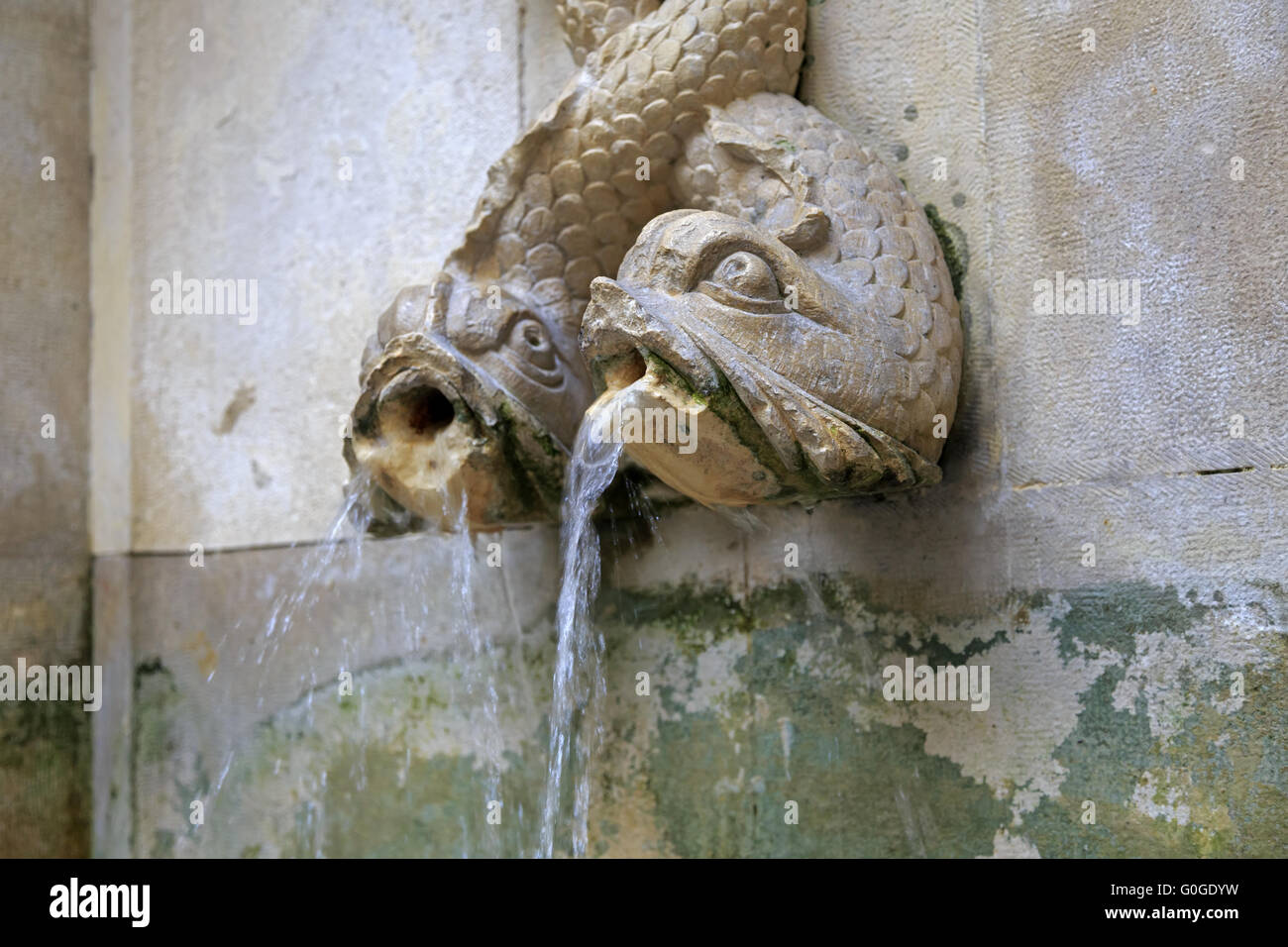 Deux poissons-pierres fontaine sur le mur à Lisbonne Banque D'Images