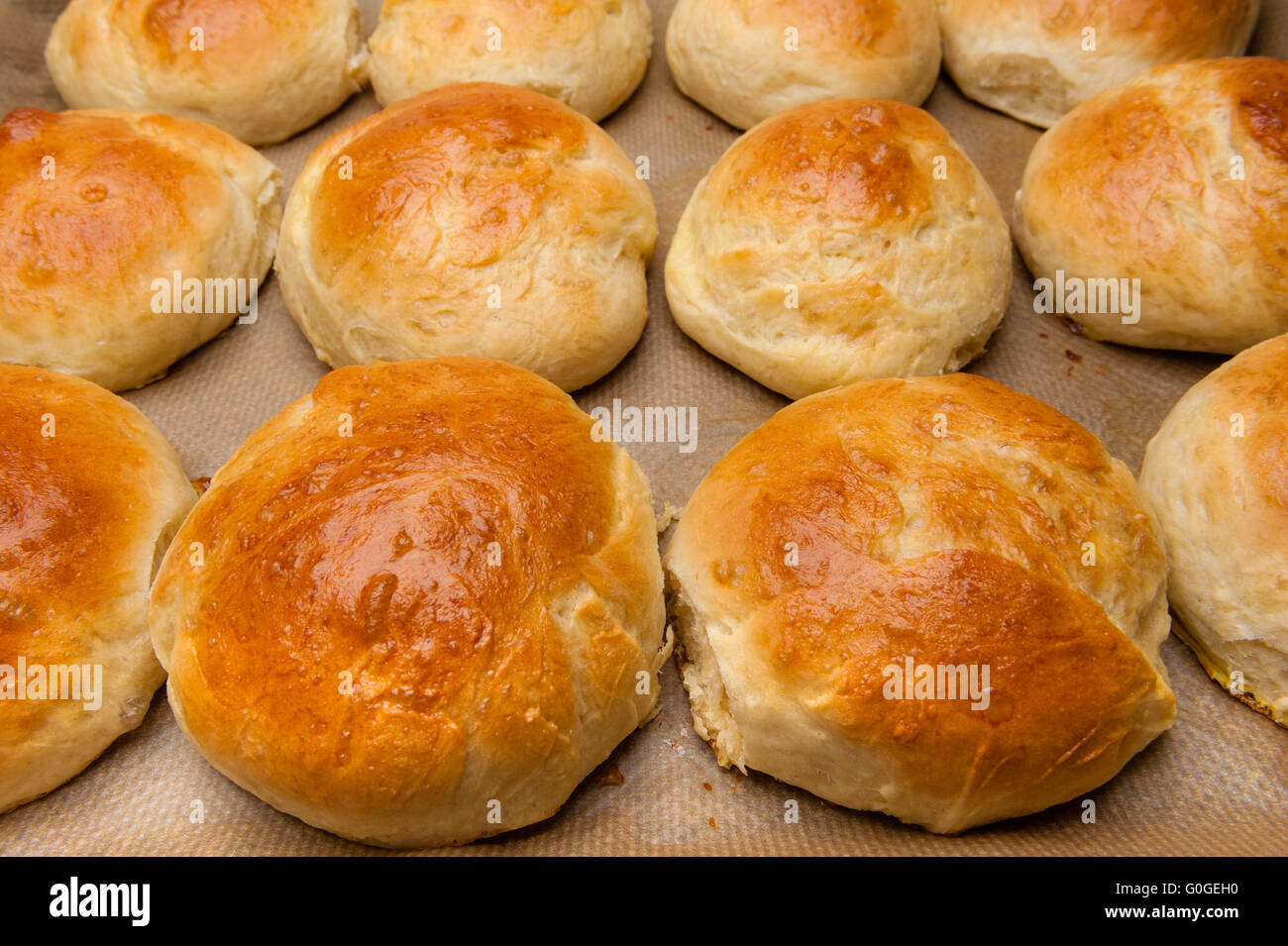 Des petits pains à hamburger/brioche. Banque D'Images