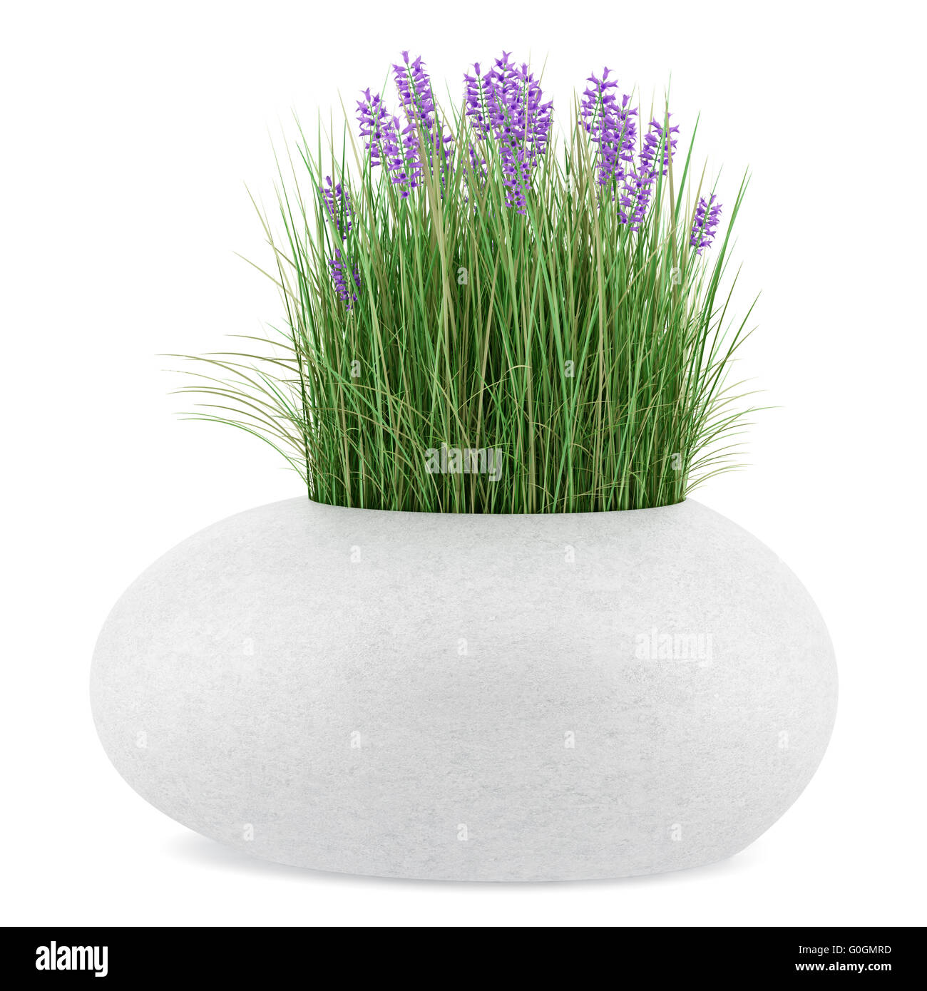 Les fleurs avec de l'herbe en pot en béton isolé sur fond blanc Banque D'Images