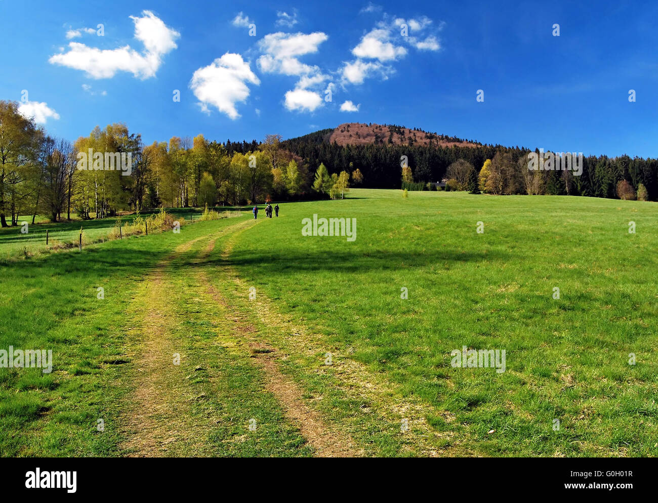 Sentier de randonnée de printemps avec prairie, arbres autour, Hill et ciel bleu avec quelques nuages dans Moravskoslezske Beskydes Banque D'Images