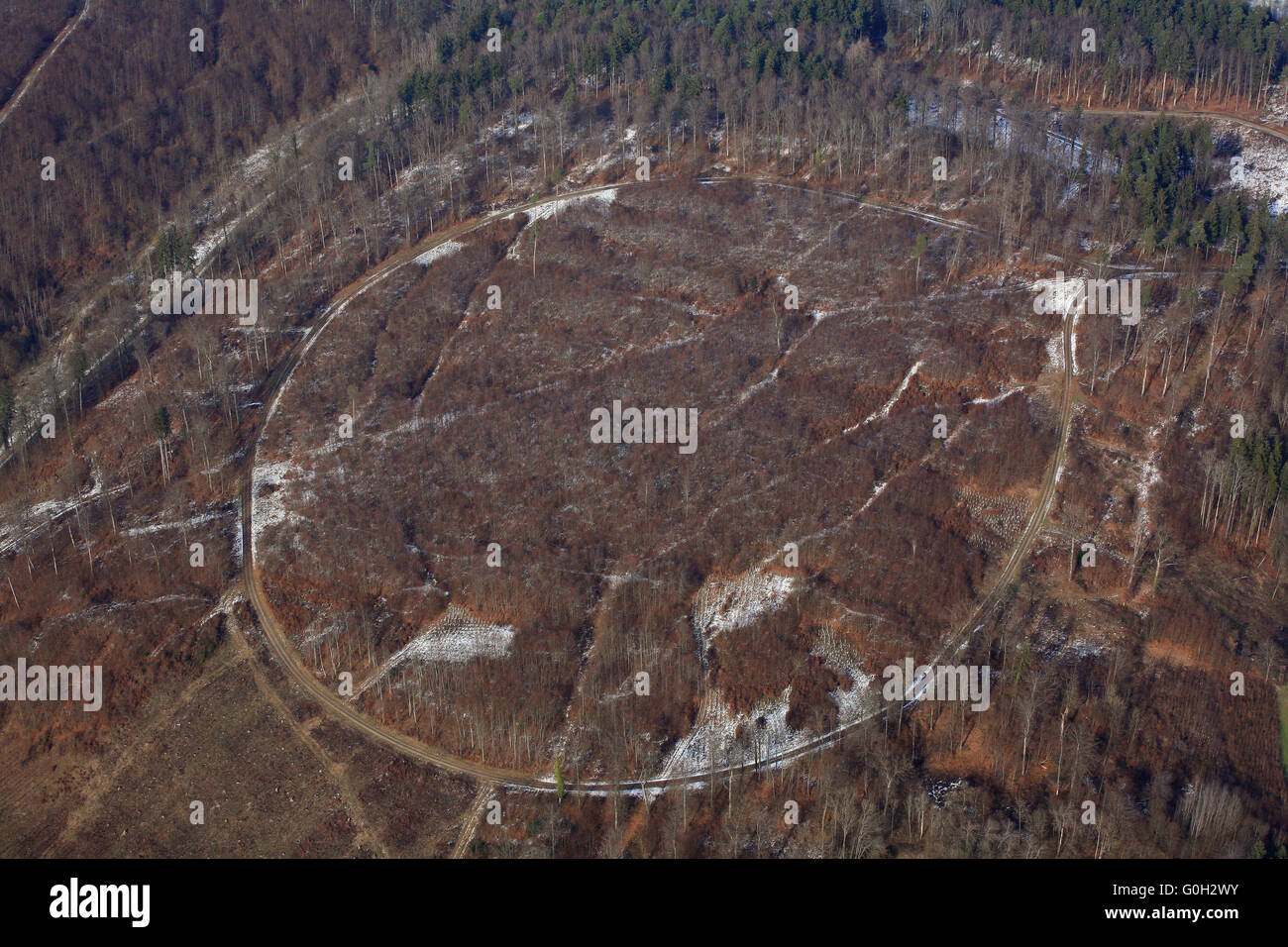 Boucle ronde chemin dans la forêt Banque D'Images