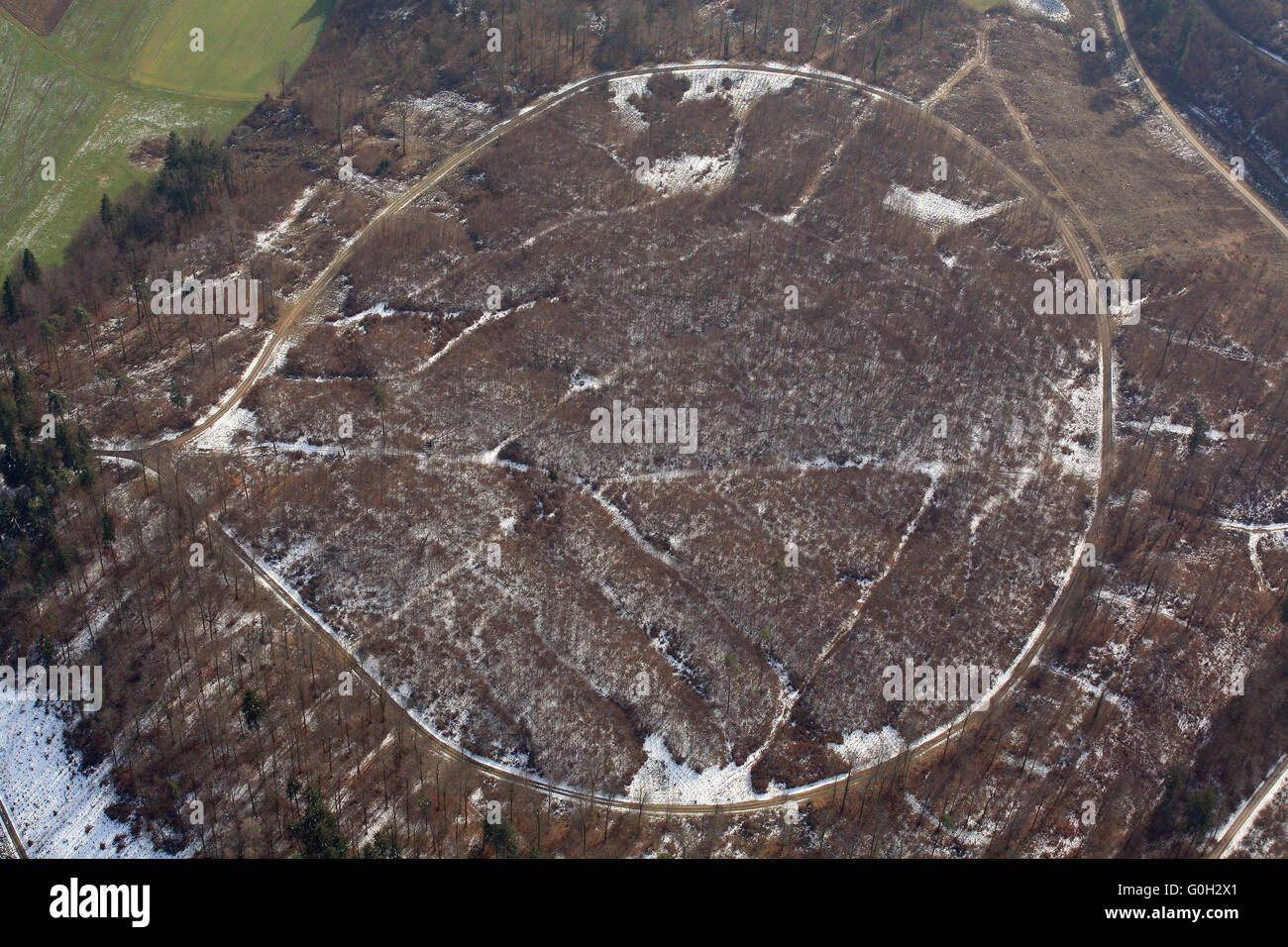 Boucle ronde chemin dans la forêt Banque D'Images
