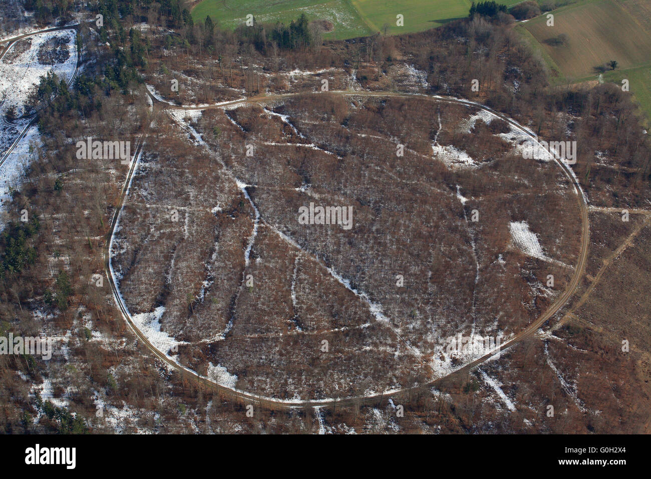Boucle ronde chemin dans la forêt Banque D'Images