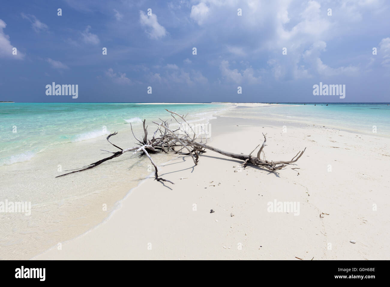 Plage sur les îles Maldives Banque D'Images