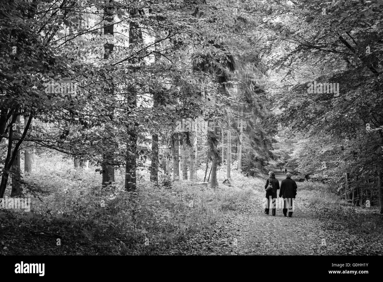 Un couple de personnes âgées dans le parc à pied Banque D'Images