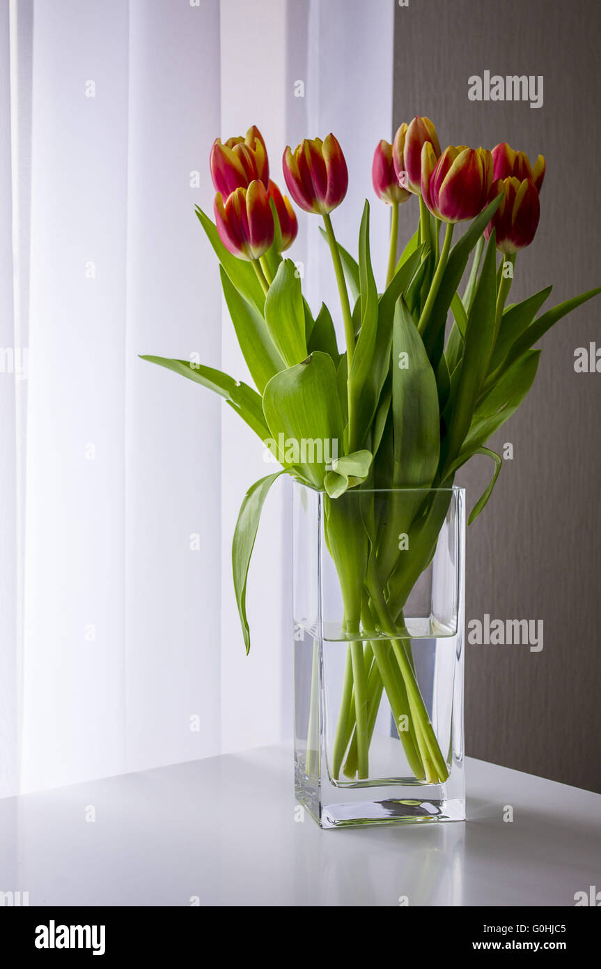 Tulip bouquet dans un vase par la fenêtre. Banque D'Images