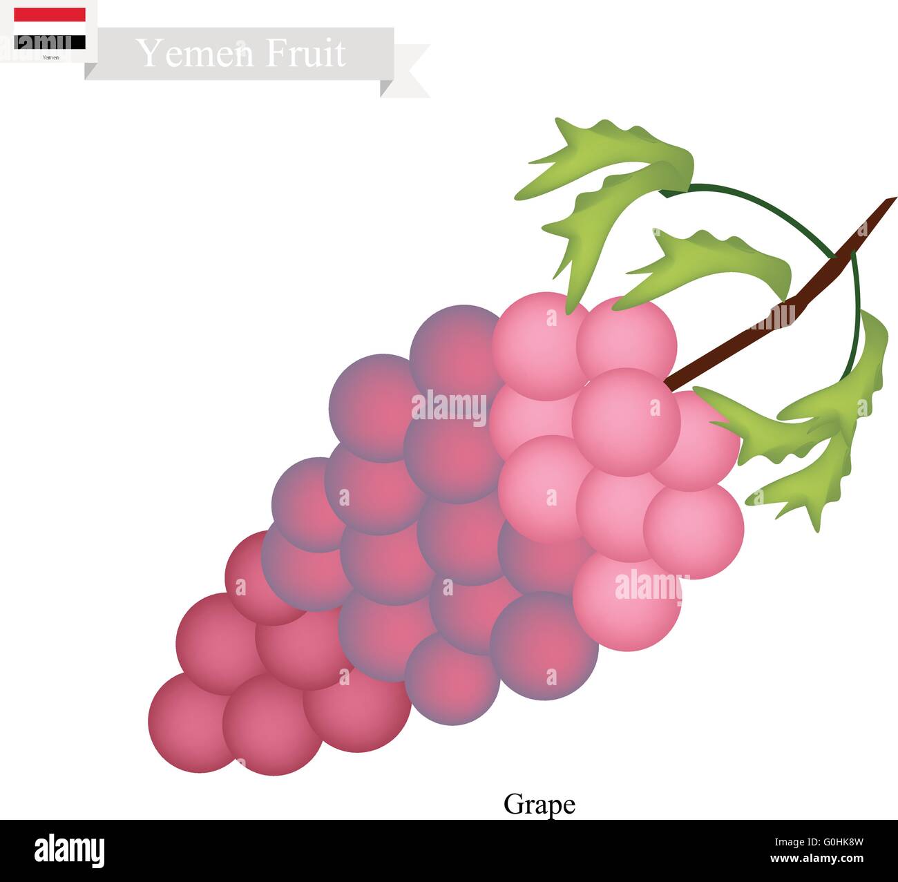 Fruits mûrs, Yémen et raisin sucré. L'un des fruits les plus populaires du Yémen. Illustration de Vecteur