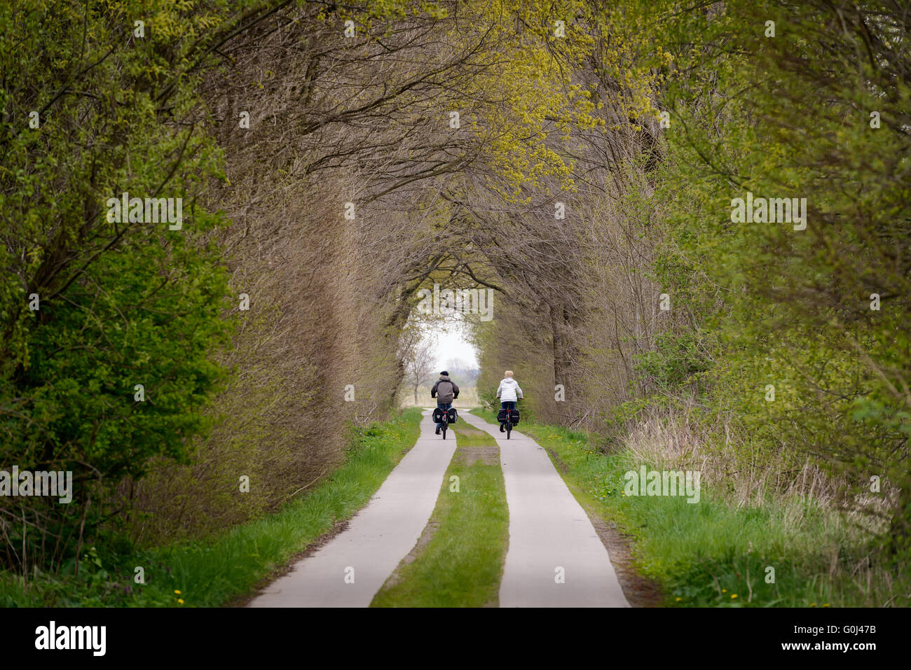 Le Brandebourg, Allemagne - 30 Avril 2016 : un couple de cyclistes passe dans un tunnel d'arbres sur un fleuve Havel au cours de vélo. Banque D'Images Le Brandebourg, Allemagne - 30 Avril 2016 : un couple de cyclistes passe dans un tunnel d'arbres sur un fleuve Havel au cours de vélo. Banque D'Images