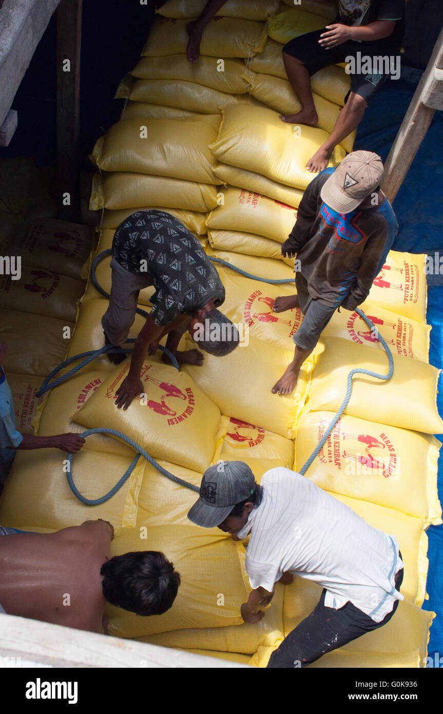 Les travailleurs chargés des sacs de ciment dans la coque d'un bateau au port de Paotere à Makassar, Indonésie. Banque D'Images