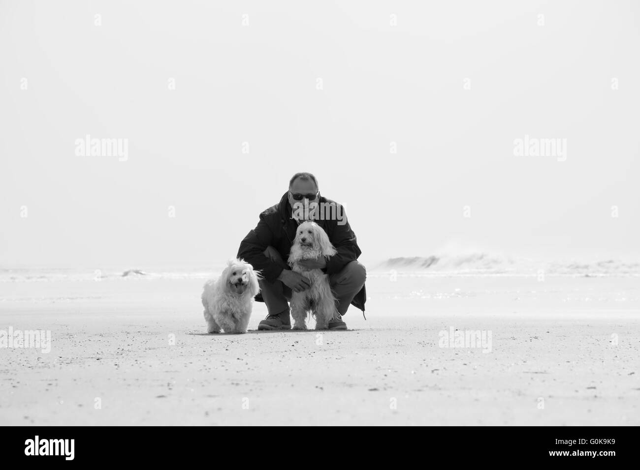 Un homme et ses deux chiens sur la plage Banque D'Images