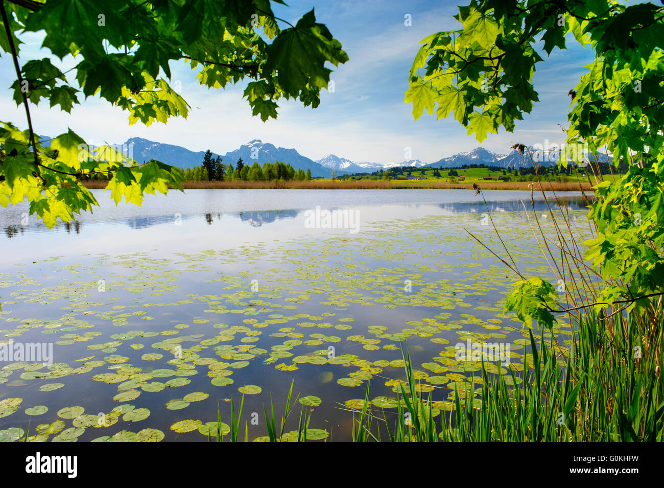 Paysage panoramique en Bavière et le lac Meadow Banque D'Images