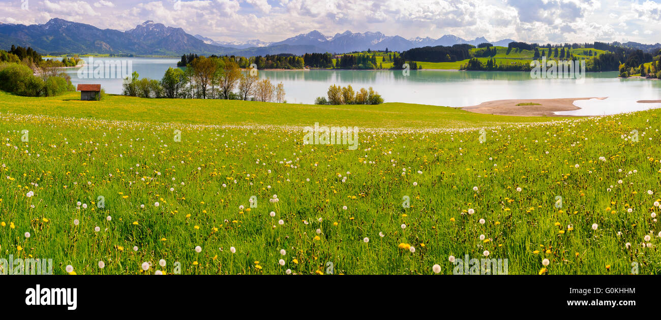 Paysage panoramique en Bavière et le lac Meadow Banque D'Images
