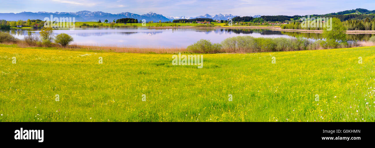 Paysage panoramique en Bavière et le lac Meadow Banque D'Images