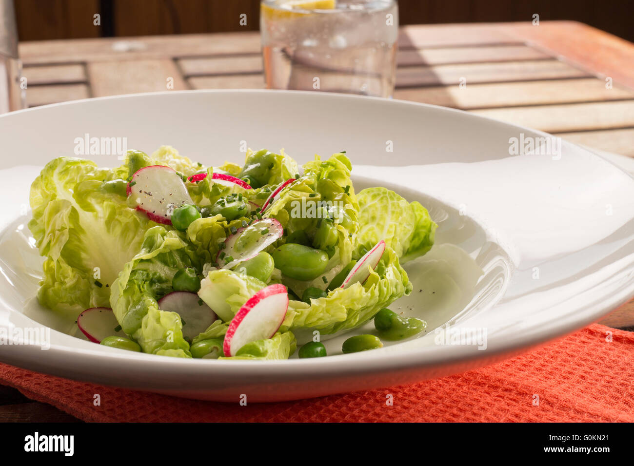 Pois, fève et salade de radis, vinaigrette d'avocat Banque D'Images