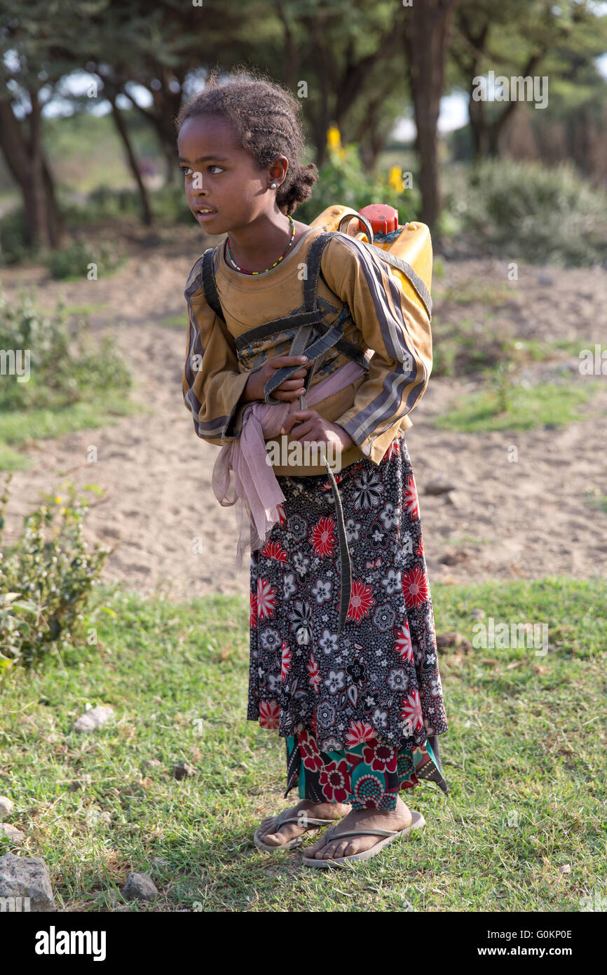 Lac Langano, Éthiopie, octobre 2013 Lomi Aman, 9, transporte l'eau 1.5km la maison chaque jour. Elle va à l'école le matin. Banque D'Images