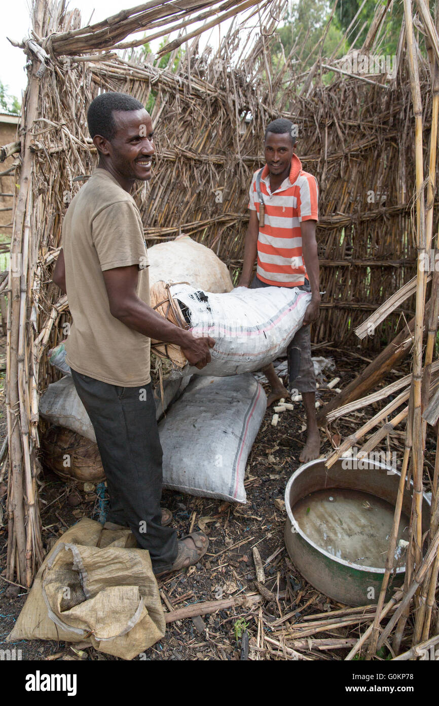 West Shewa, Oromia, en Éthiopie, octobre 2013 Shamber Degaga Safrash Behile,38 et, 25 sacs de charbon, maintenant qu'ils vendent par la route. Banque D'Images