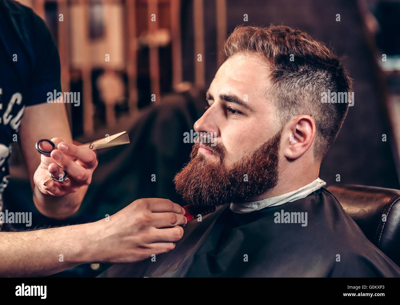 Libre de toilettage professionnel beard avec des ciseaux Banque D'Images