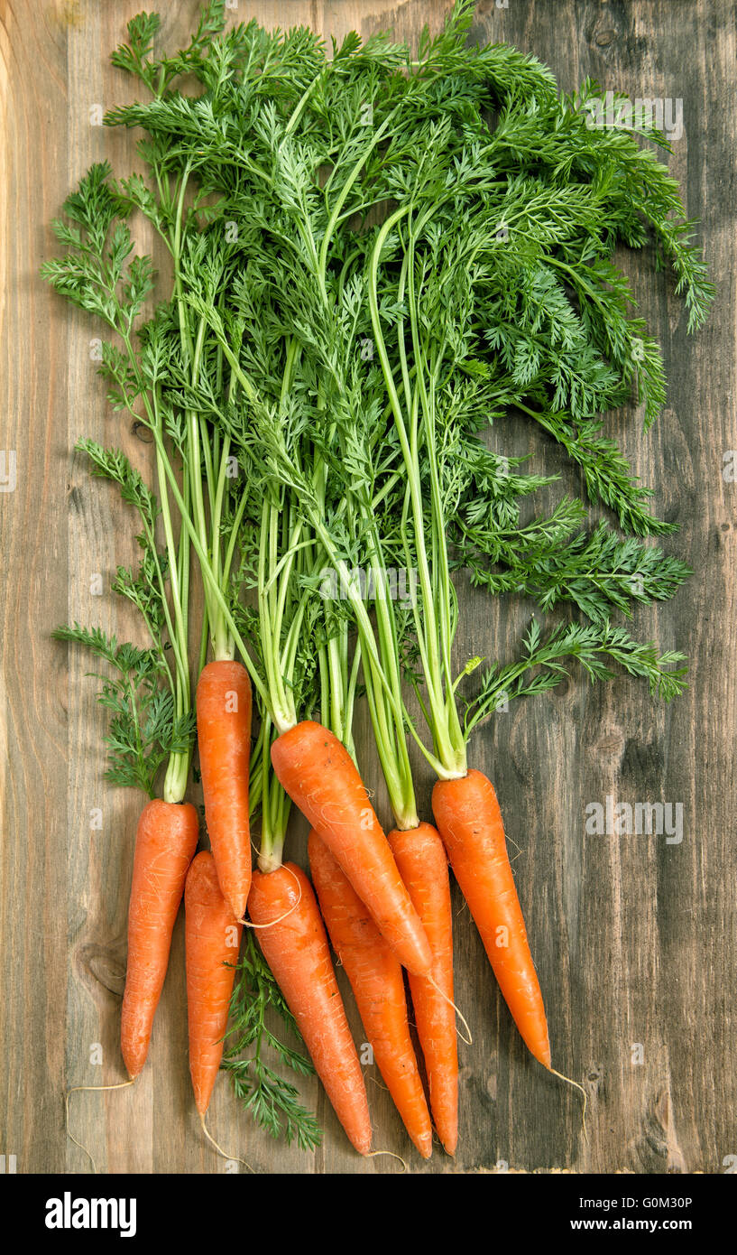 Plus de racines de carotte rustique en arrière-plan. Aliments biologiques sains Banque D'Images