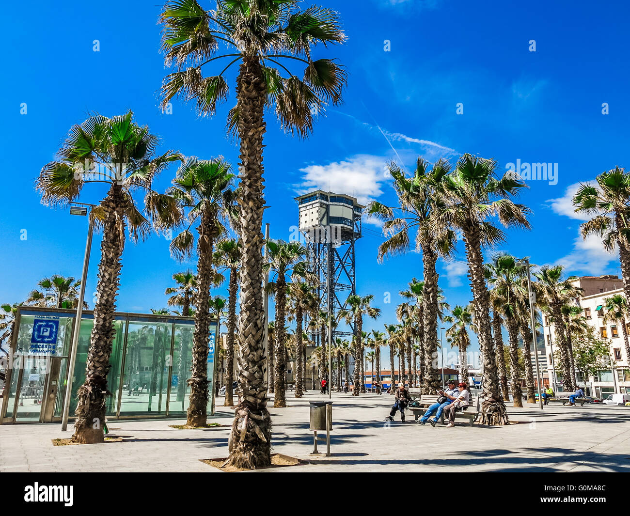 Des palmiers et des gens sur la Placa del Mar dans le quartier de Barceloneta de Barcelone, Espagne Banque D'Images