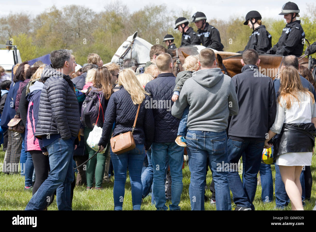 Les chevaux de la police sont formés pour contrôler la foule Banque D'Images