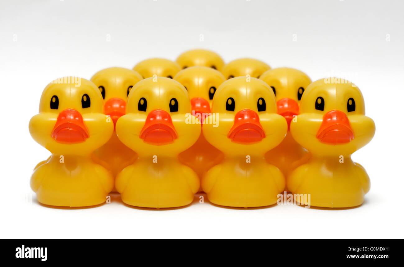 Dix canards jouet jaune sur un fond blanc studio Banque D'Images