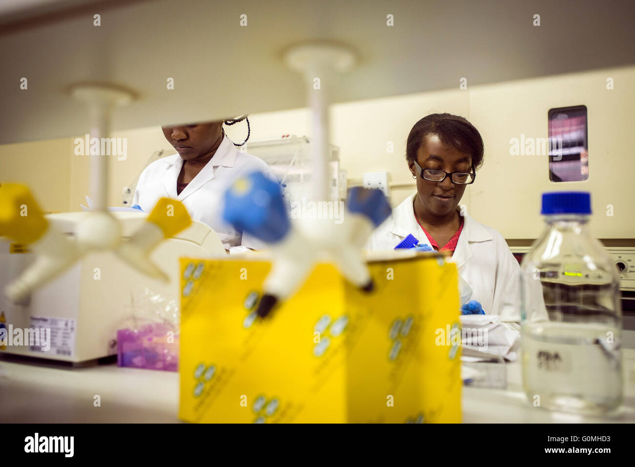 Les élèves de la section des sciences sont engagés dans des travaux pratiques dans le laboratoire de l'écologie microbienne de l'Université de Namibie, Windhoek, Namibie Banque D'Images