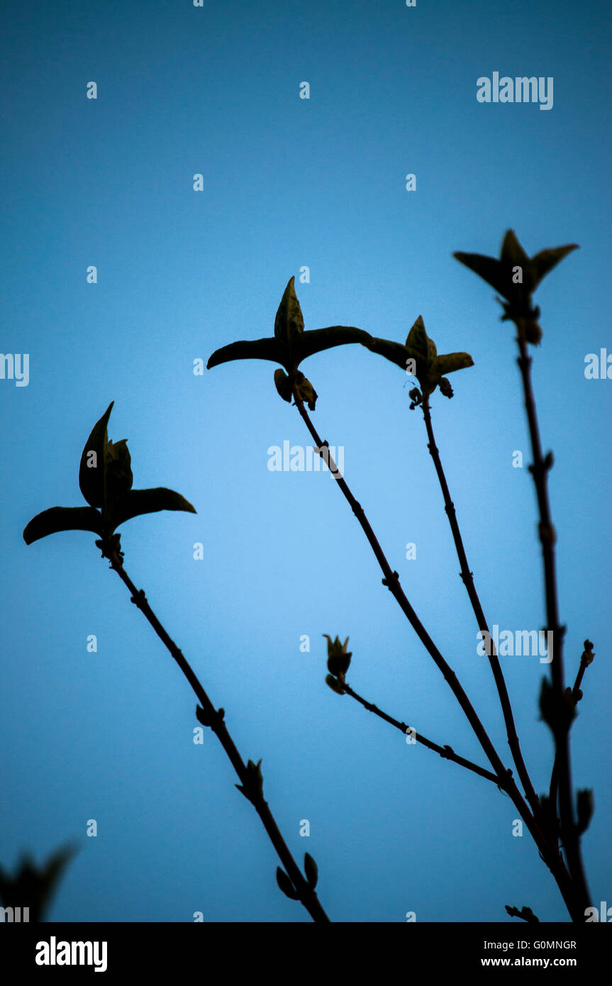 Silhouette de l'usine contre un ciel bleu clair Banque D'Images