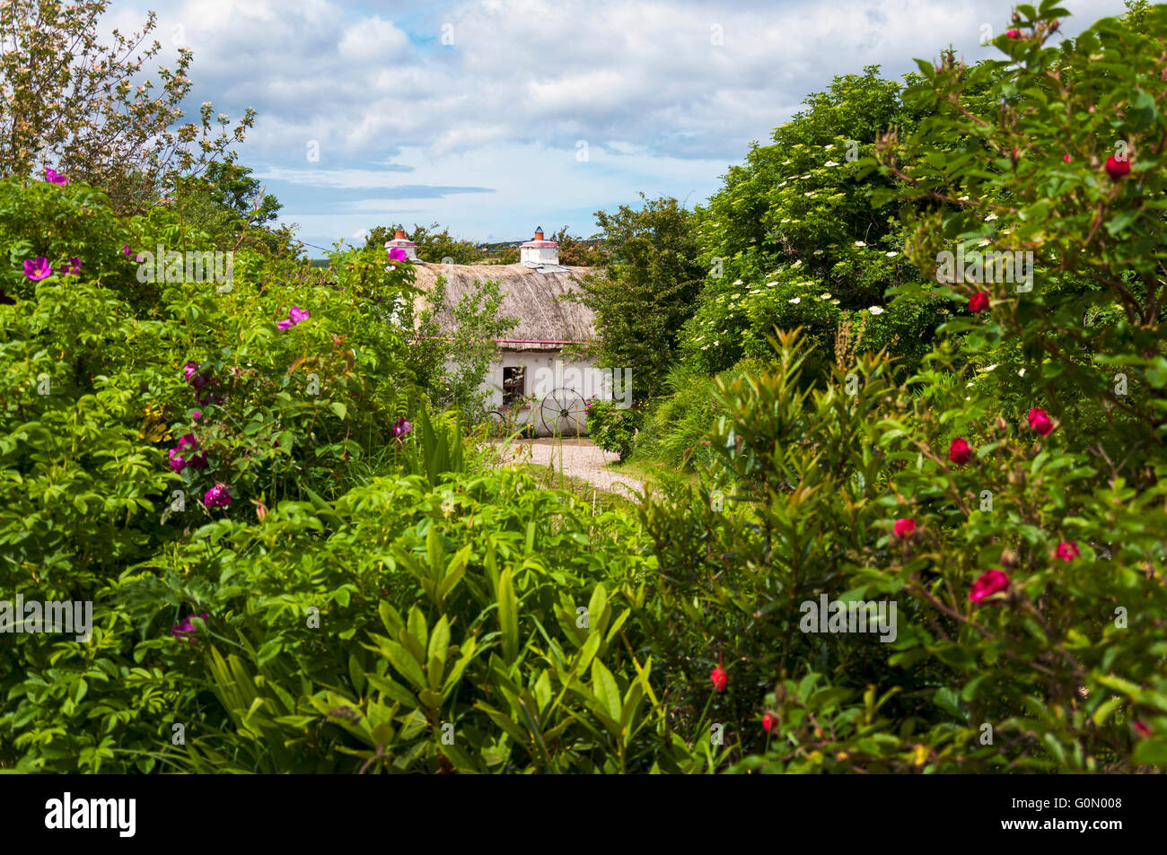 Chaumière de jardin, Ardara, comté de Donegal, Irlande Banque D'Images
