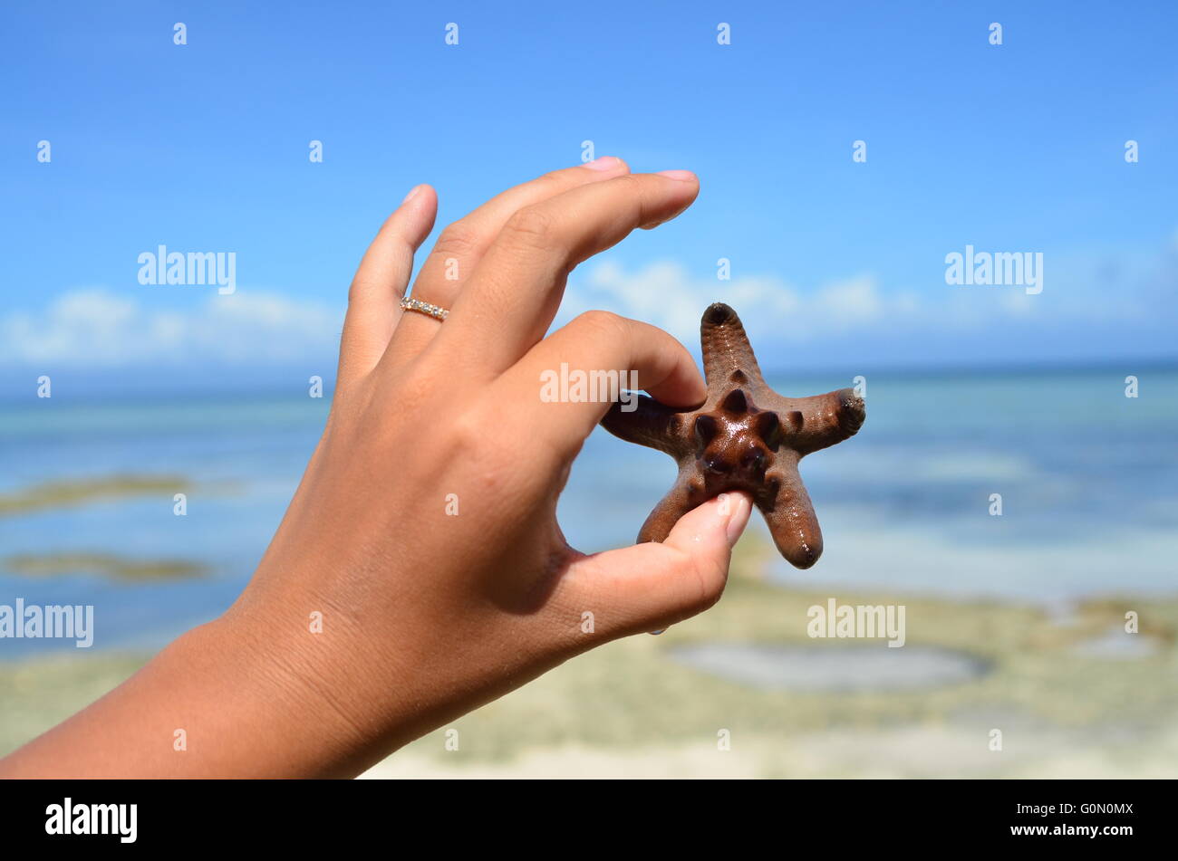 Une Main Tenant Un Bebe Etoile De Mer Dans L Air Sur Une Plage Tropicale Deserte Photo Stock Alamy