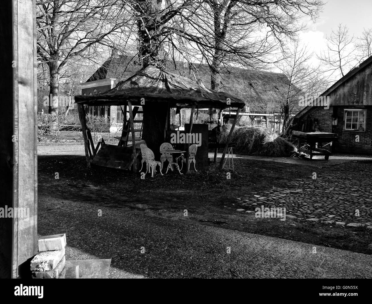 Haut contraste noir et blanc scène rurale néerlandaise avec farm house Banque D'Images