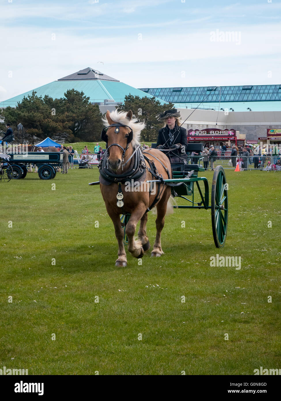 Chevaux lourds tirant un chariot de style canadien en milieu rural à Portsmouth and Southsea Afficher Banque D'Images
