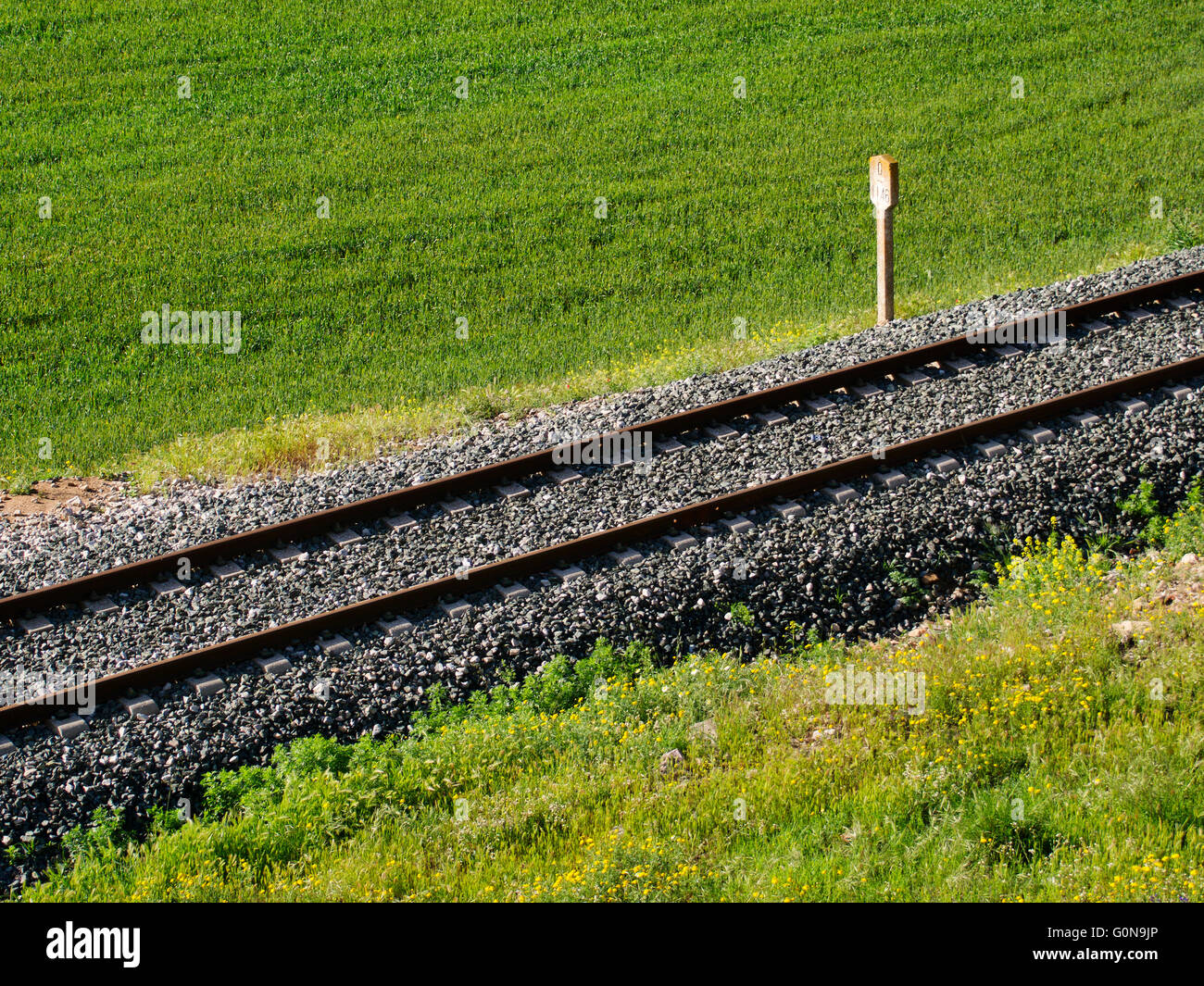 Les voies ferrées dans un champ vert. Antequera, la province de Malaga, Andalousie Espagne, Europe Banque D'Images