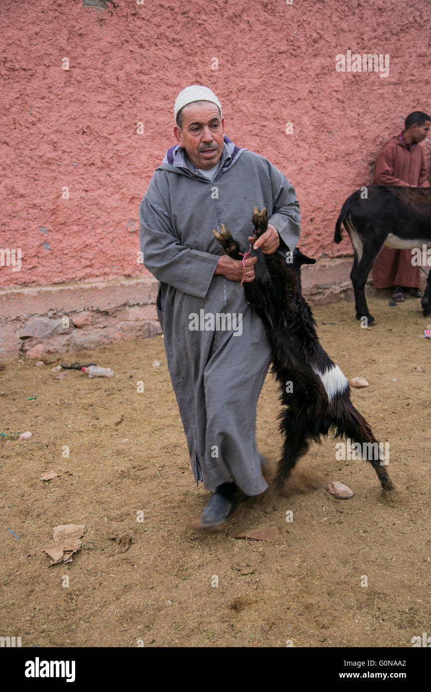 Les gens et les animaux dans le marché des animaux à Guelmim Banque D'Images