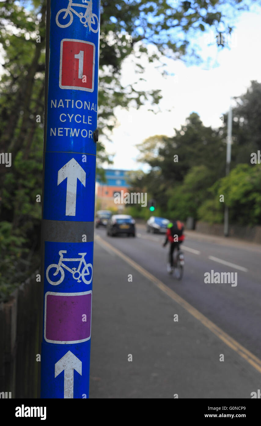 Cycliste urbain et National Cycle Network signe. Banque D'Images