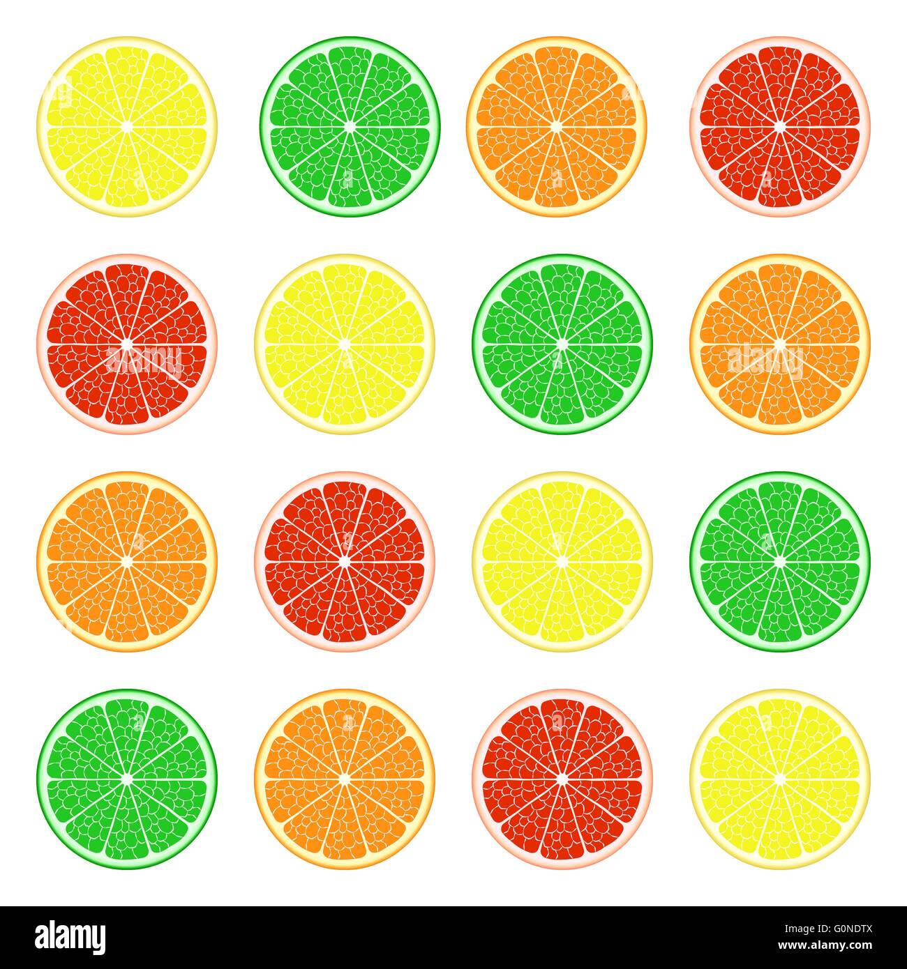 Mise à fruit : Citron, citron vert, orange, pamplemousse. Vector EPS10 Illustration de Vecteur