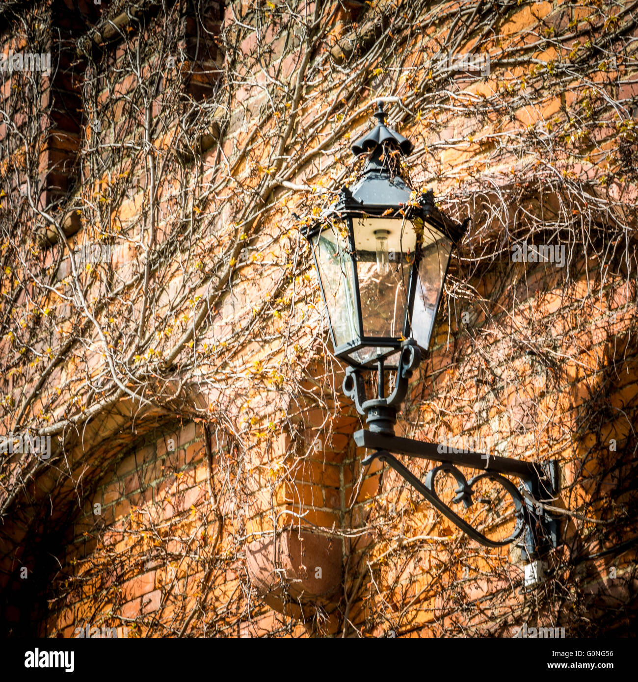 Ancienne lampe et historique en République tchèque Hradec NAD Moravici château Banque D'Images