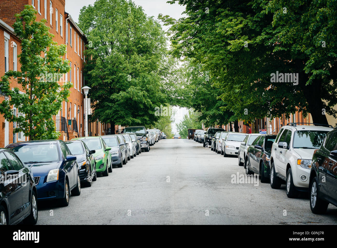 Une rue bordée d'arbres de Federal Hill, Baltimore, Maryland. Banque D'Images