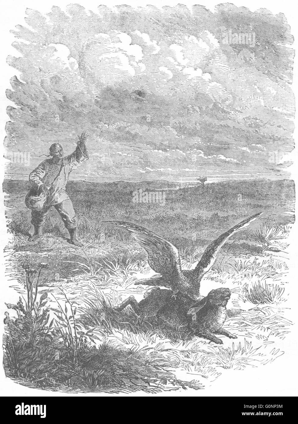 Les oiseaux : Catcher : oiseau de proie : Oriental la fauconnerie, antique print c1870 Banque D'Images