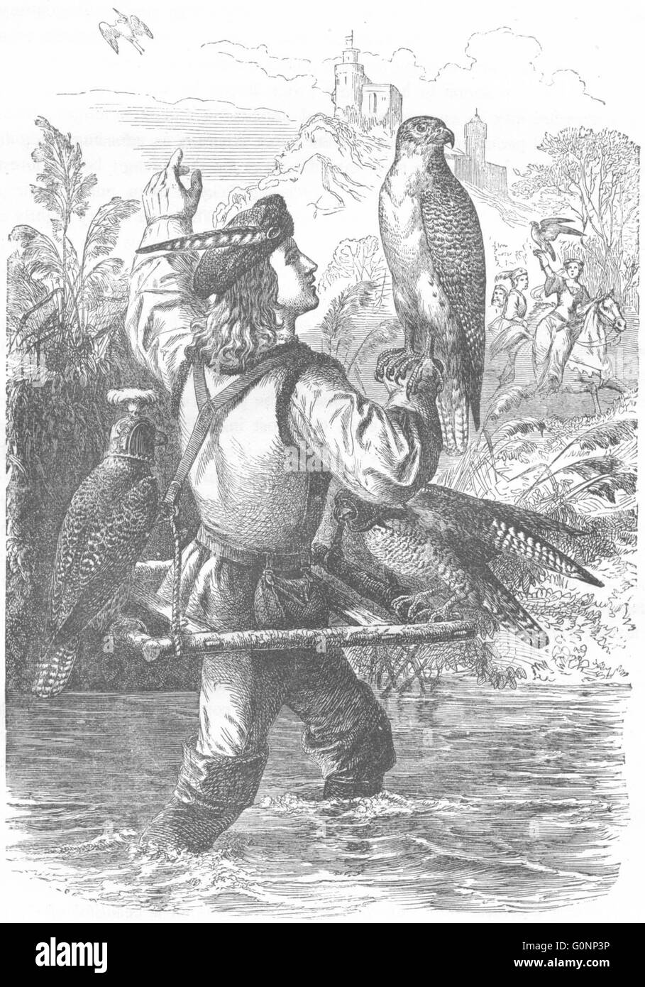 Les oiseaux : Catcher : oiseau de proie : Falconer, antique print c1870 Banque D'Images