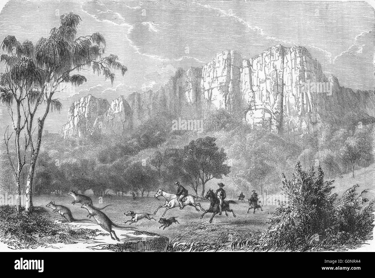 Australie : La chasse des kangourous, ancien 1870 Banque D'Images Australie : La chasse des kangourous, ancien 1870 Banque D'Images