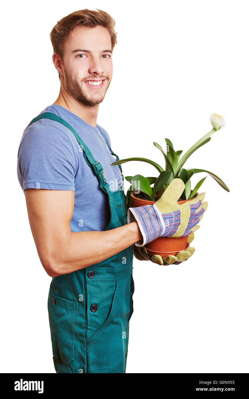 Fleuriste heureux holding a paintbrush (Haemanthus albiflos usine) Banque D'Images
