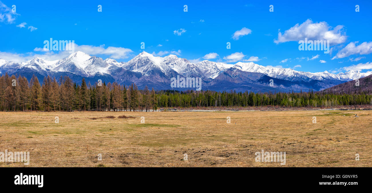 Une prairie avec de l'herbe sèche au début de mai dans une zone boisée . Sayan de l'Est . Bouriatie . La Russie Banque D'Images