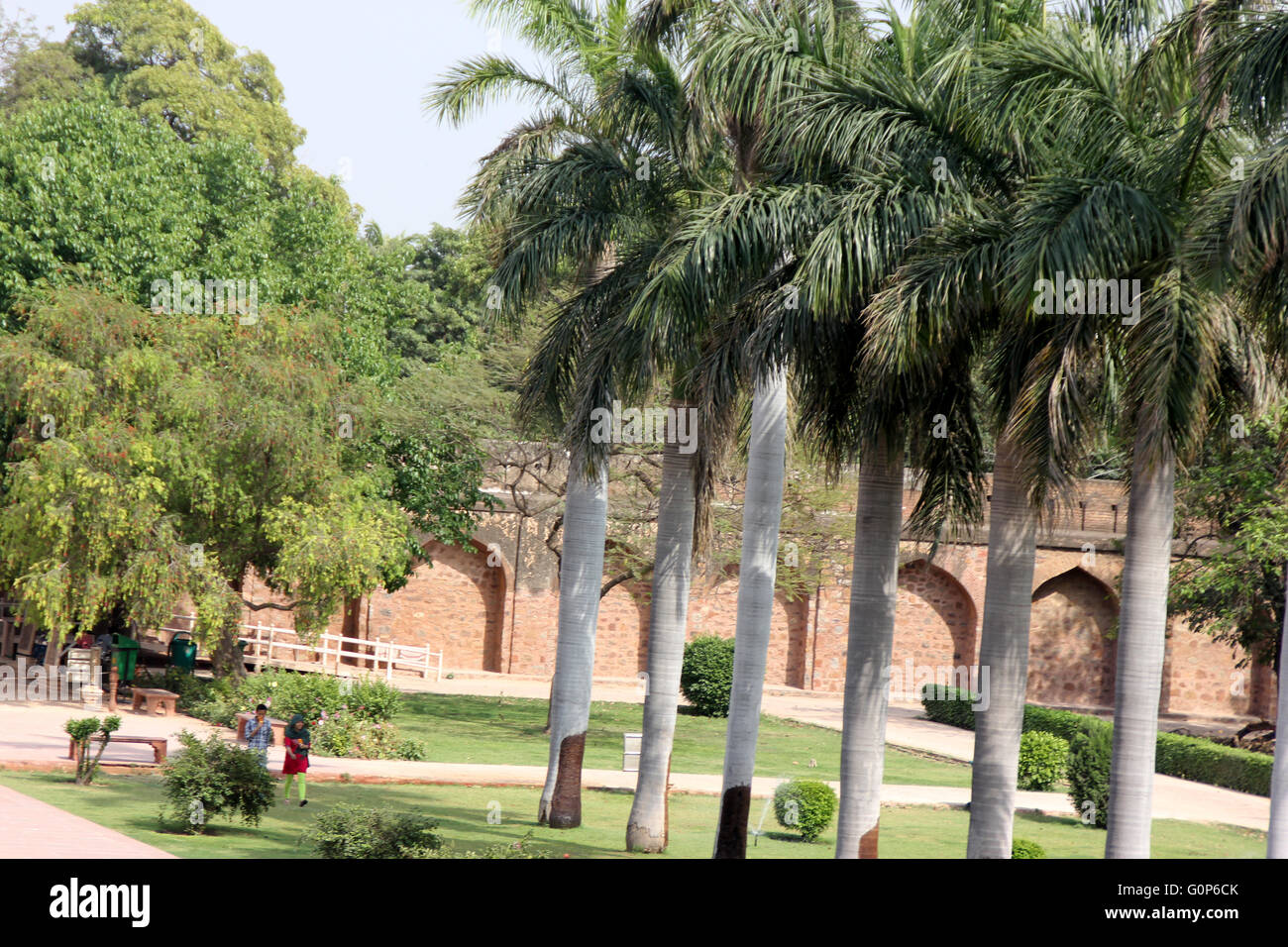 Safdarjung Tomb, New Delhi, Inde, jardin avec deux rangées de royal palm et canal du centre, et l'entrée principale comme vu à partir de la tombe Banque D'Images