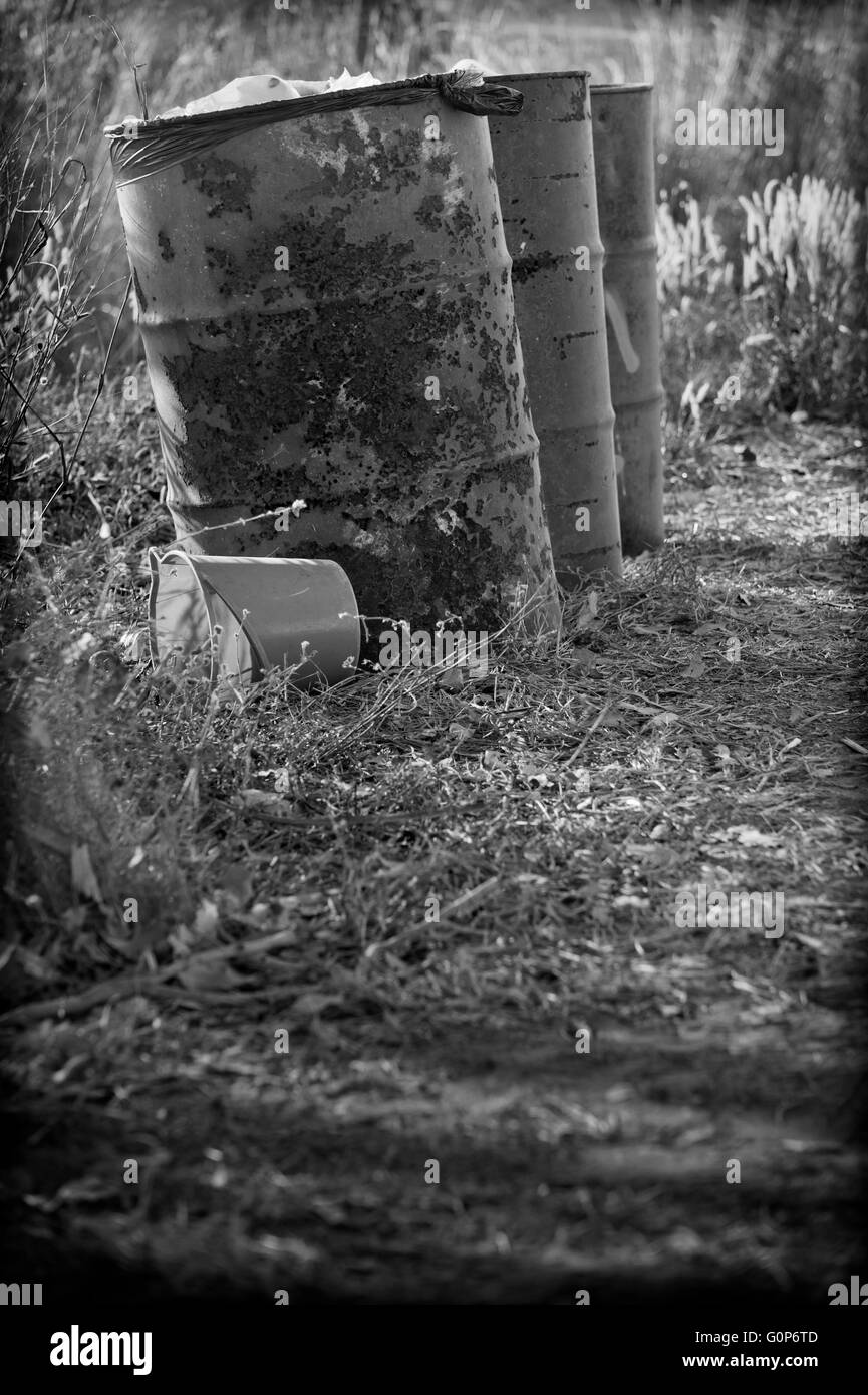 Trois 44 gallon tambours à huile utilisé comme une poubelle dans les bois. Banque D'Images