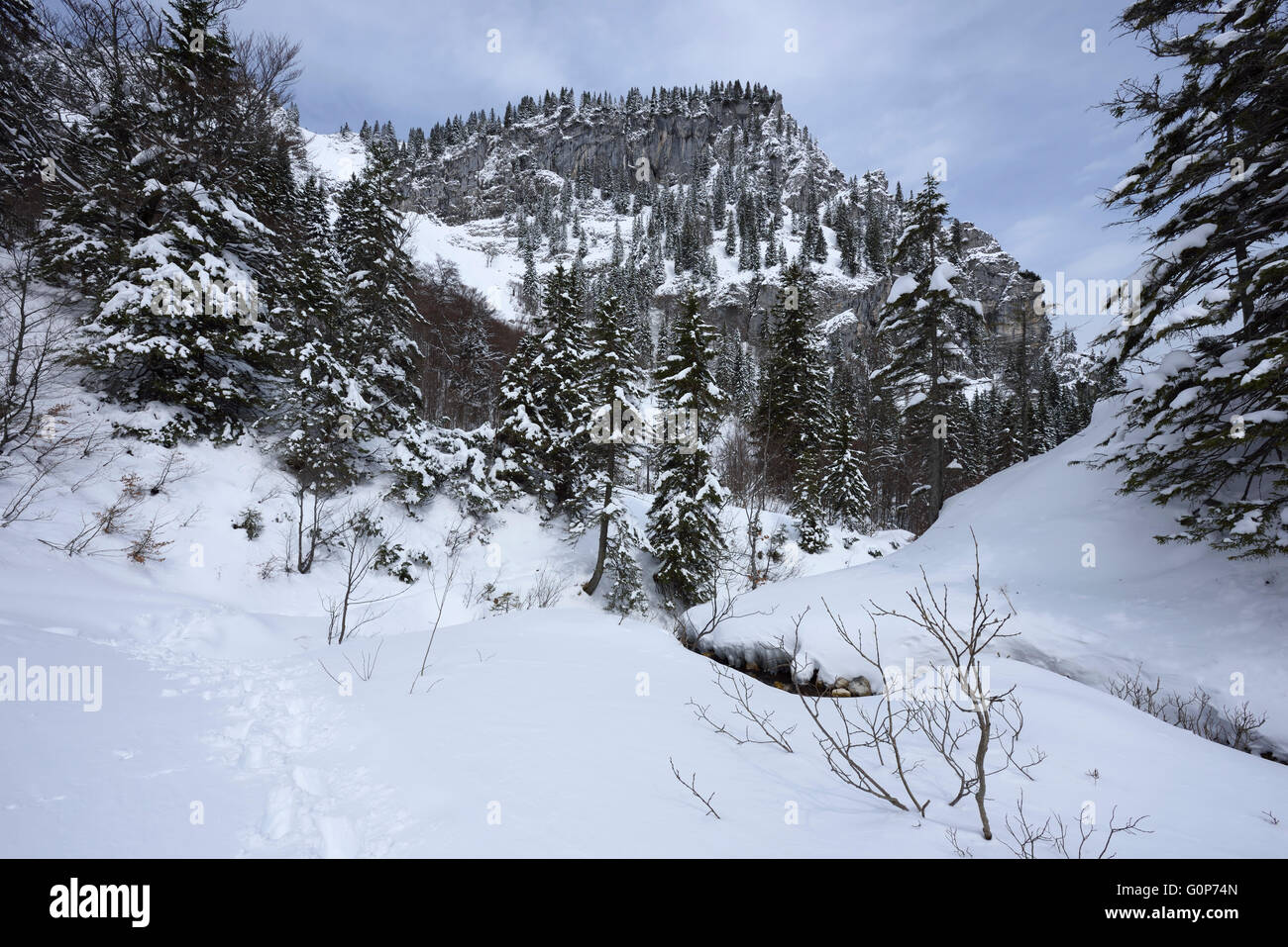 Montagne enneigée (région de trace dans la neige, Bavière, Allemagne Banque D'Images