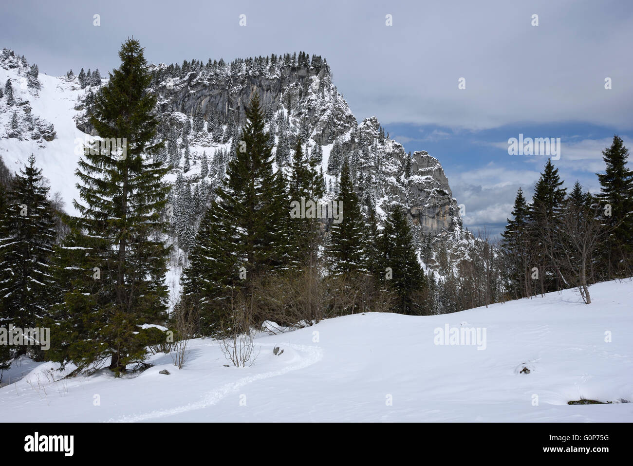 Probstkessel, montagne enneigée (région de trace dans la neige, Bavière, Allemagne Banque D'Images